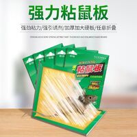 粘鼠板選購(gòu)全攻略 從排行榜、價(jià)格到使用技巧，一篇搞定